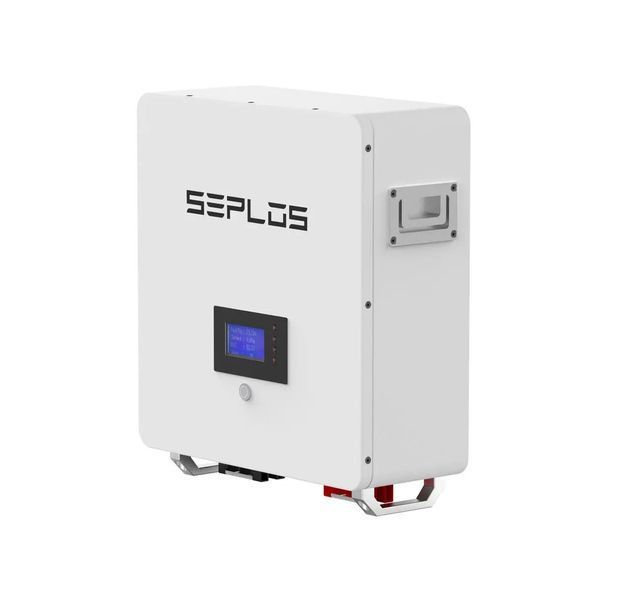 Акумуляторна батарея Seplos NIKE-24100 25.6V 100Ah 2.56kWh 28,5kg LiFePO4 SEP-24100 фото
